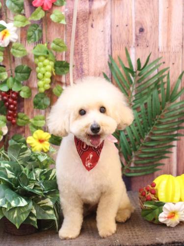 20230827こじろうくん